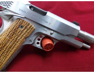 Kimber Stainles Pro Raptor II (FULL GUN)  (1)